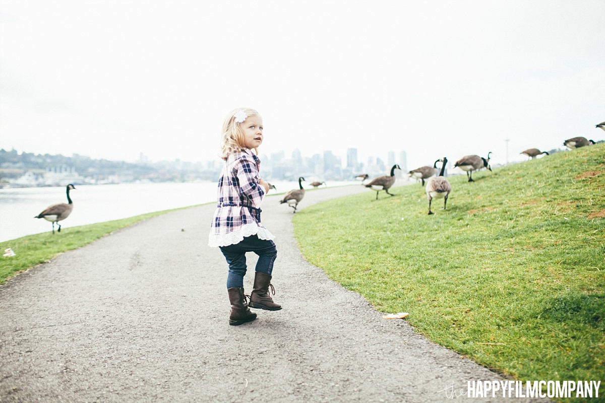 Little girl chasing some geese - the Happy Film Company - Seattle Family Photos