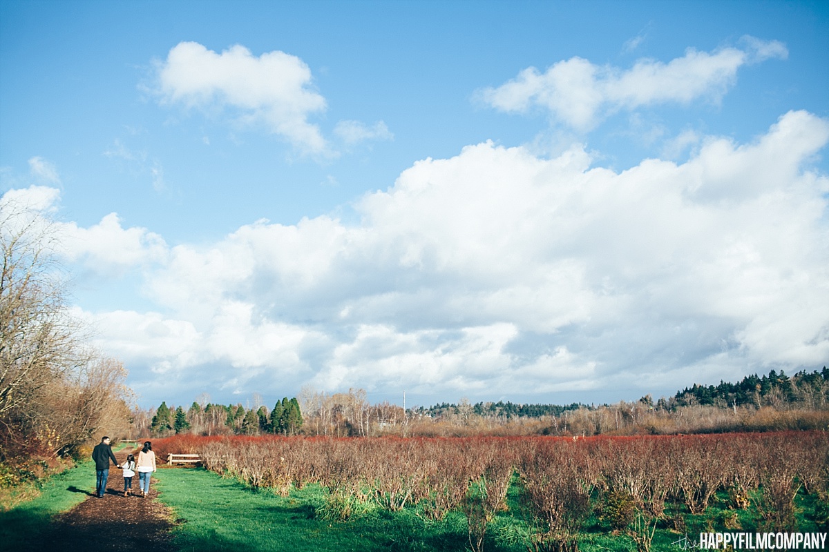 Morning walk at the Blueberry Farm - the Happy Film Company - Seattle Family Photos