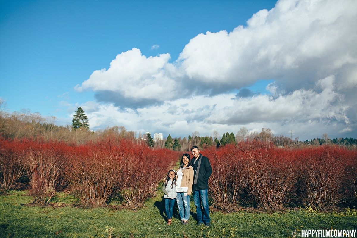 Family photos at the Mercer slough Blueberry Farm - the Happy Film Company - Seattle Family Photos