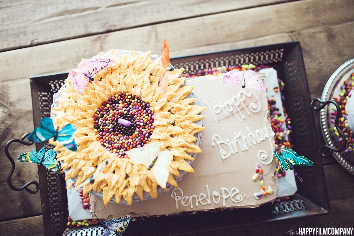 1st birthday cake - the Happy Film Company - Seattle Family Photos