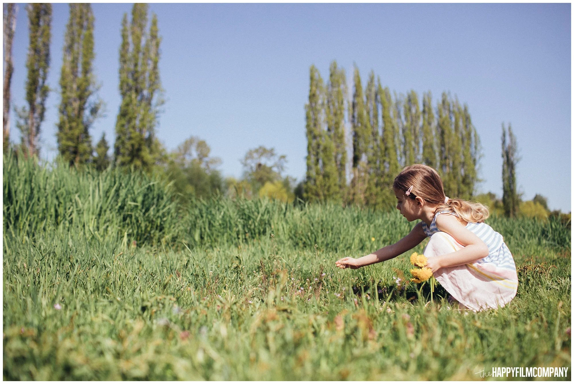 the Happy Film Company - Seattle Family Photography - Father Daughter Portraits - Redmond Grass Field Dandelion little girl picking flowers