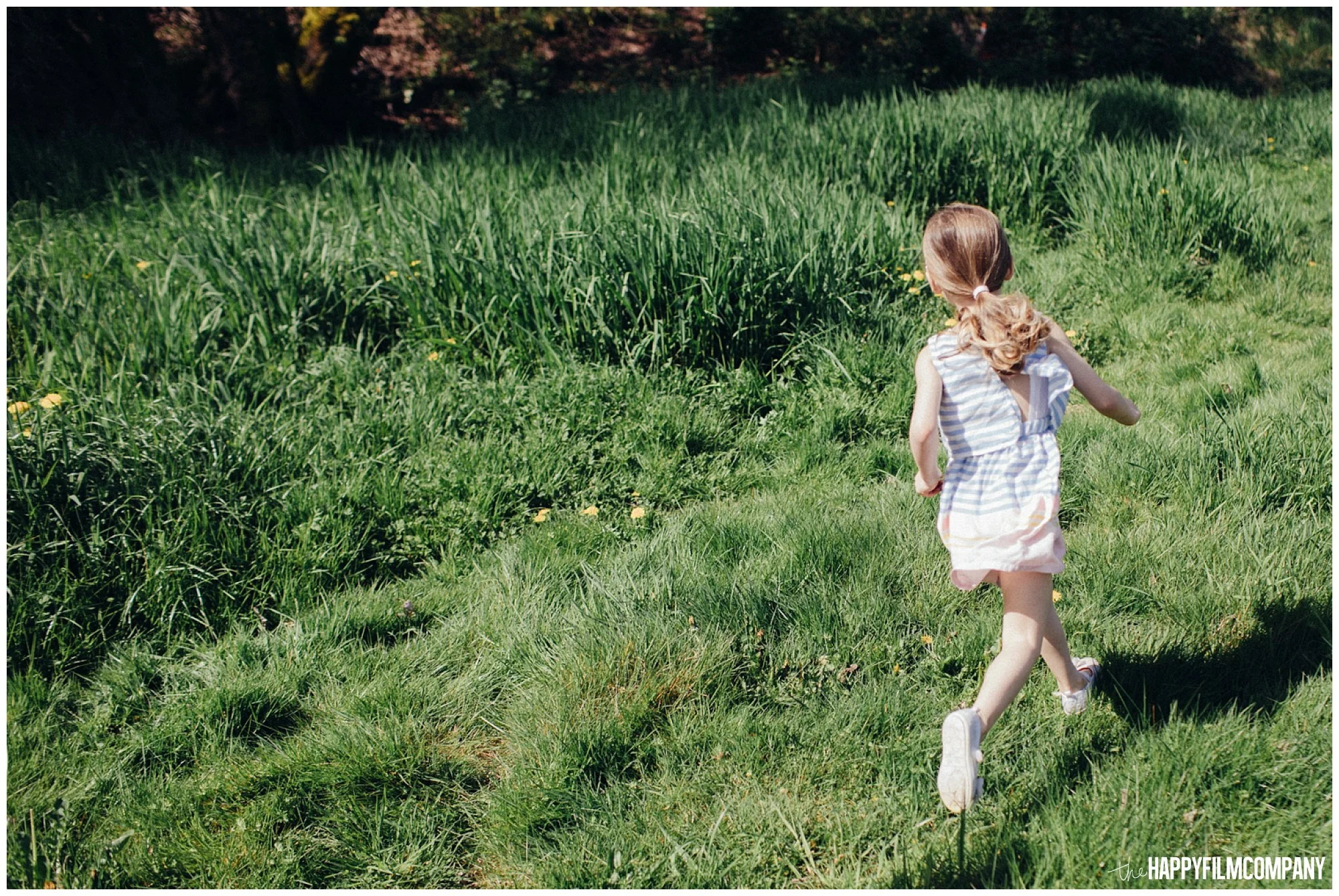 the Happy Film Company - Seattle Family Photography - Father Daughter Portraits - Redmond Grass Field Dandelion
