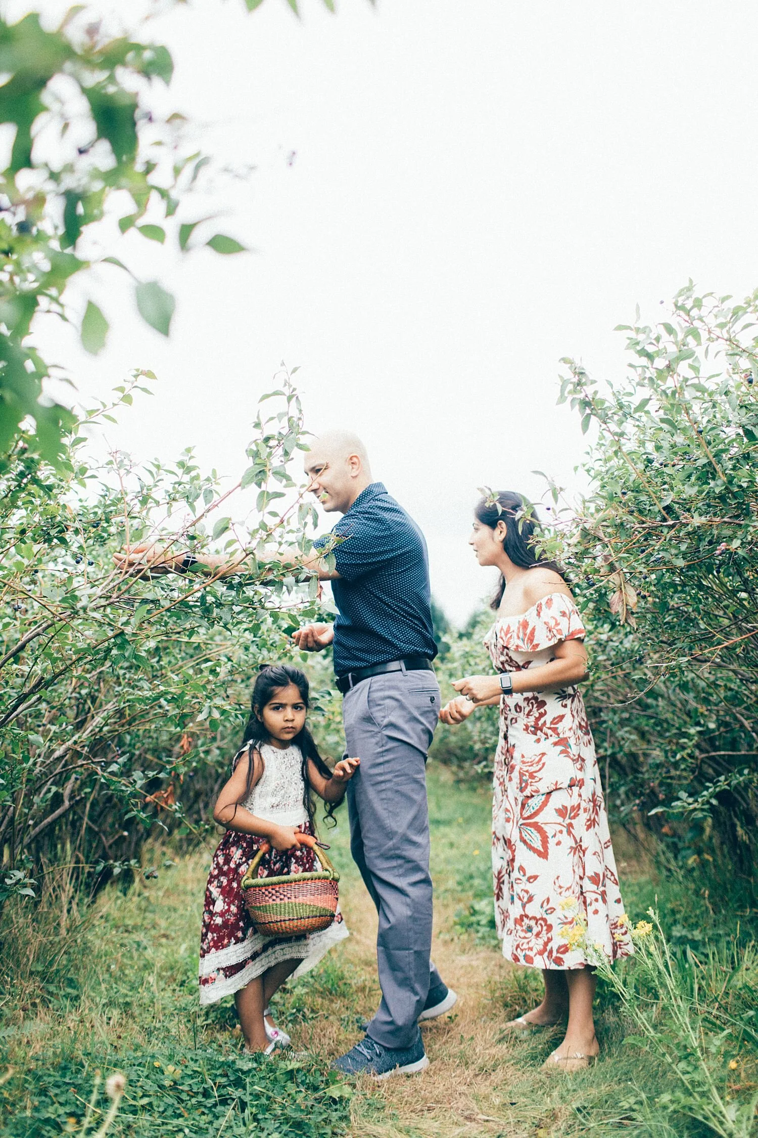 the Happy Film Company - Bybee Blueberry Farm - Seattle Family Photography - August - Indian