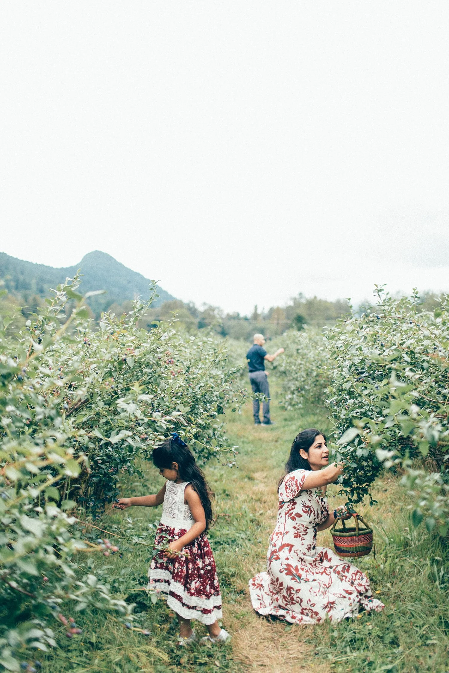 the Happy Film Company - Bybee Blueberry Farm - Seattle Family Photography - August - Indian