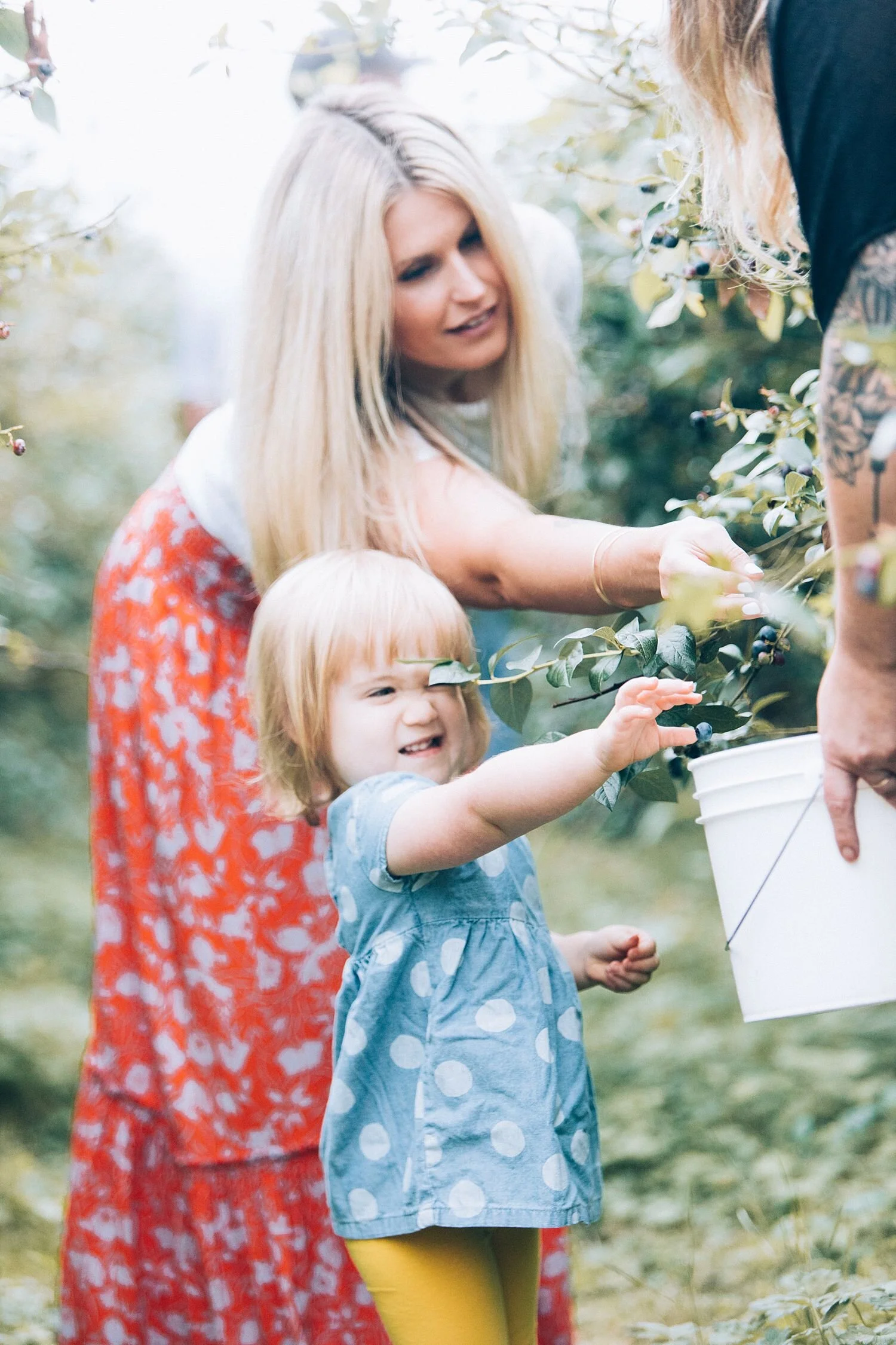 the Happy Film Company - Bybee Farm North Bend Blueberry Patch - Seattle Eastside Family Photographer Outdoor