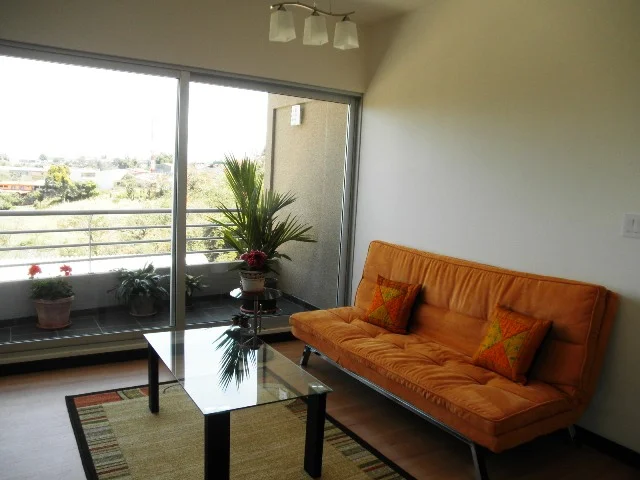 Renta de condo amueblado en Sabana Norte $1,000