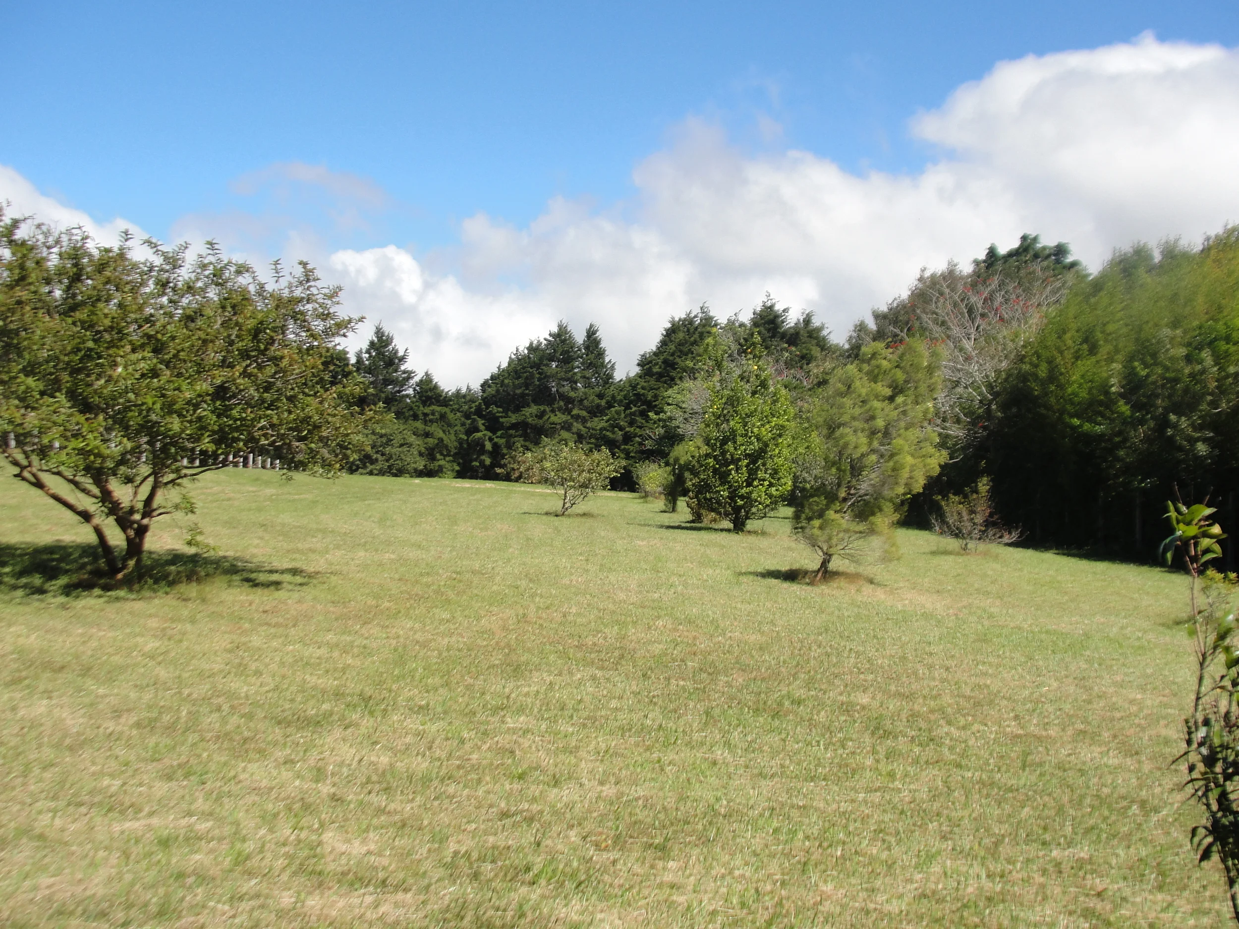 DSC04035.JPG