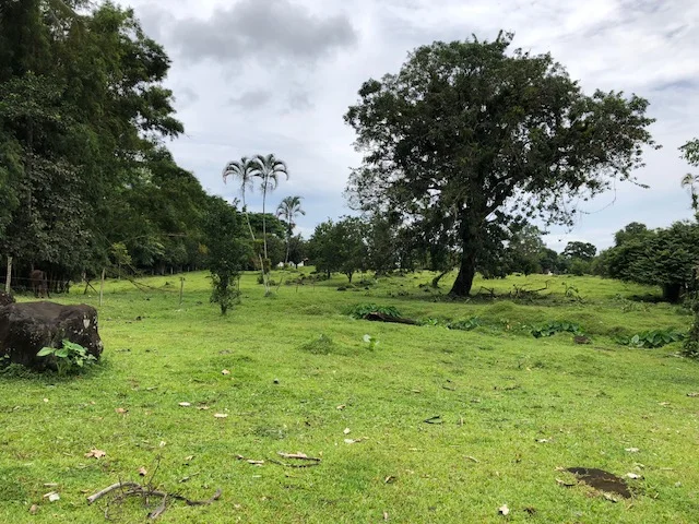 Se vende un terreno  de 15,571m2  en Guapiles de Limon $934,260para desarrollar las viviendas y comercios.