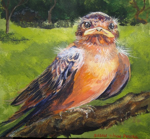the fledgling.jpeg