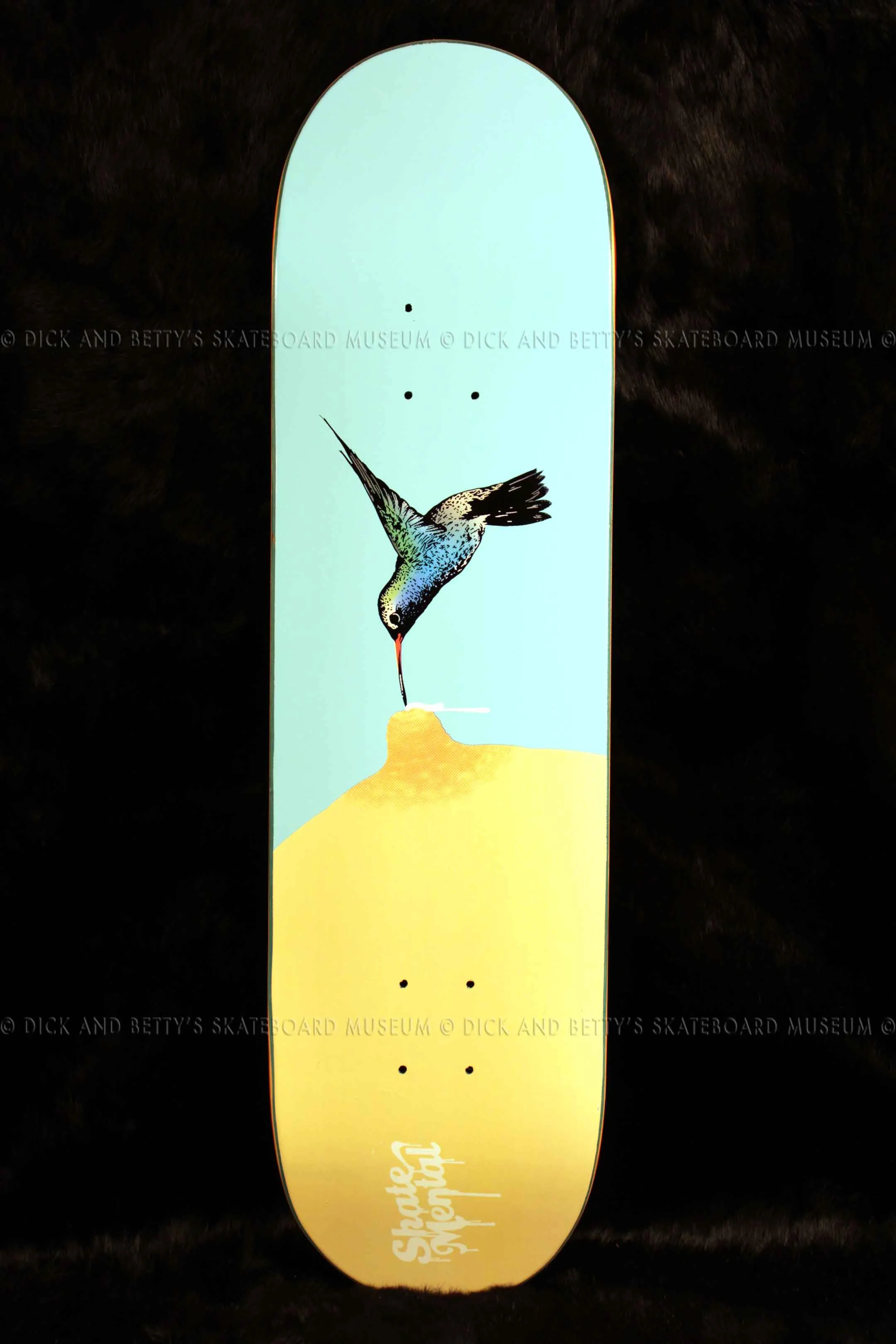 TEAM 2014Hummingbird (STDs)