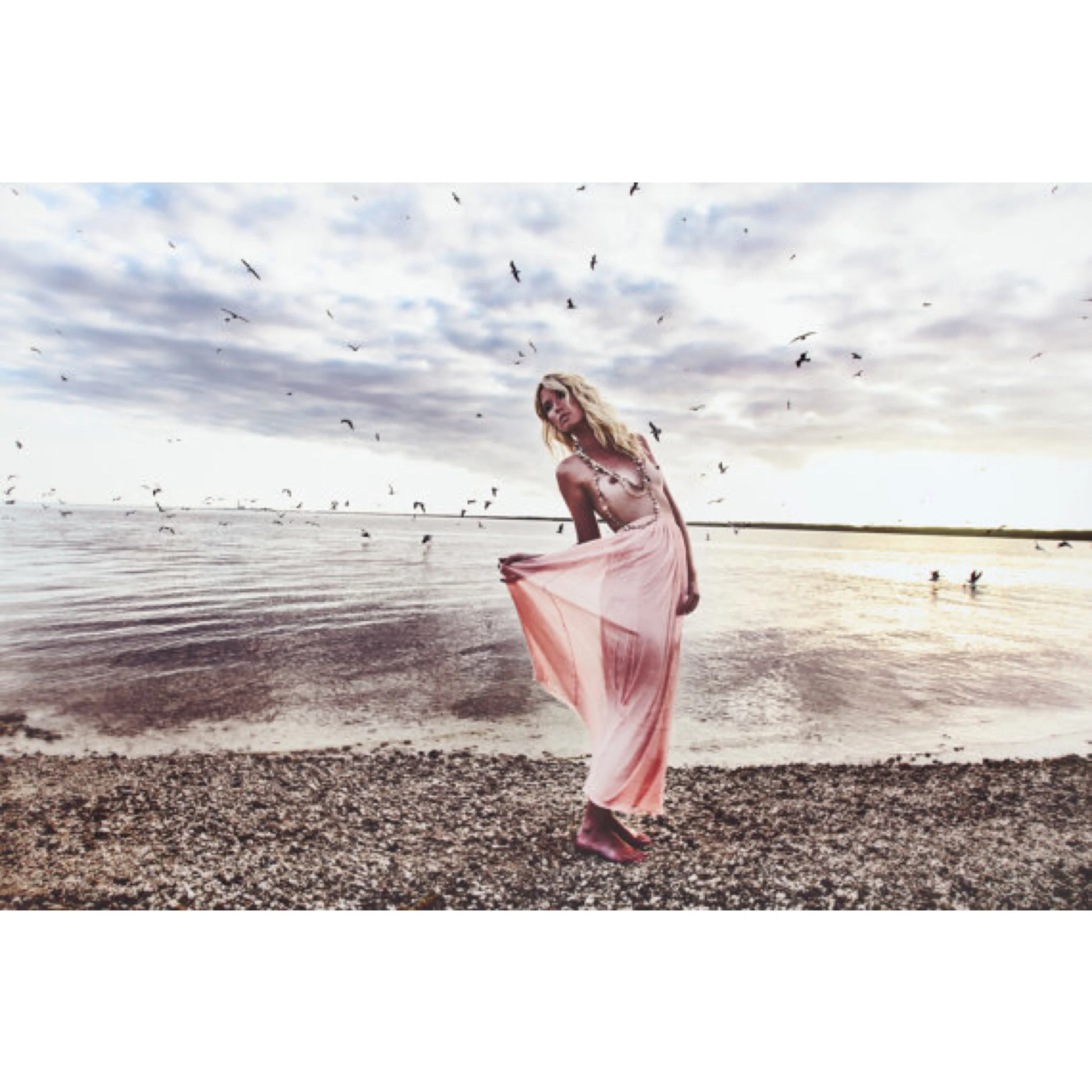 "Free Bird" Limited Edition Fine Art Giclee Print