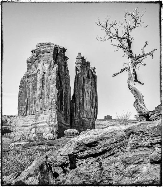 _RPB9460-Edit-Edit.jpg
