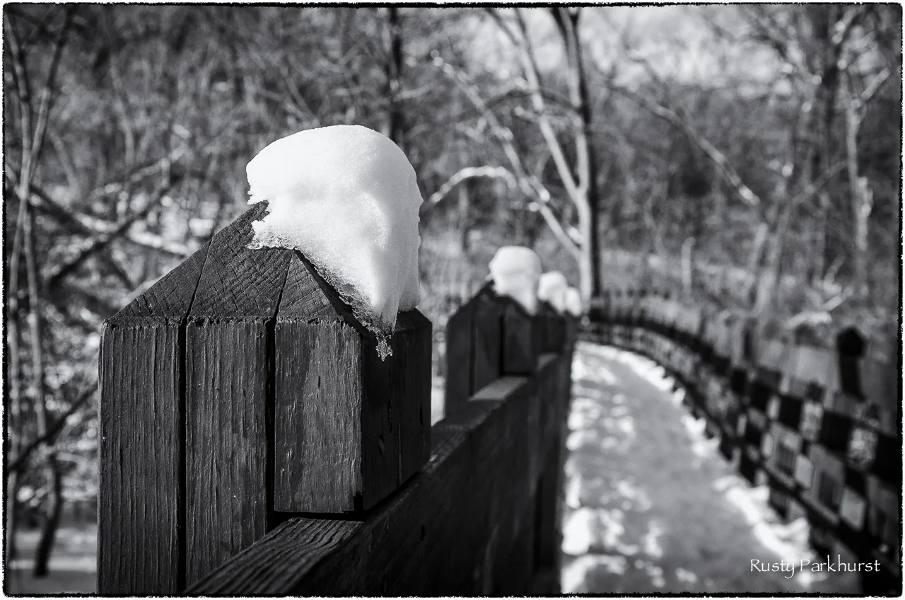 Snowy Walk