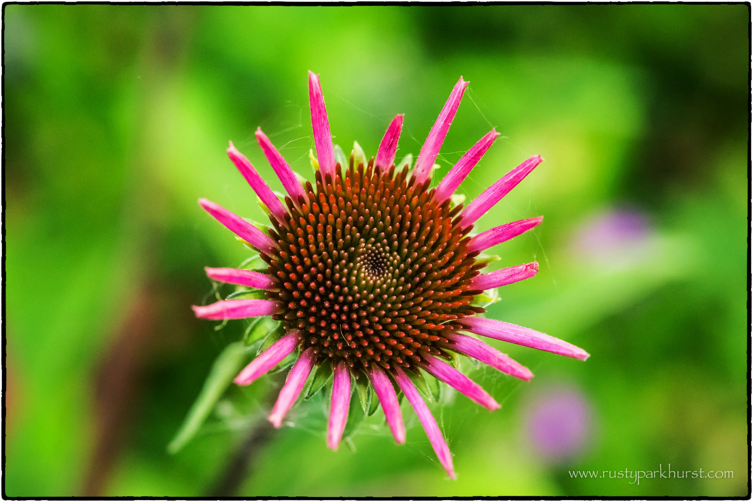 5D3A6193-Edit.jpg