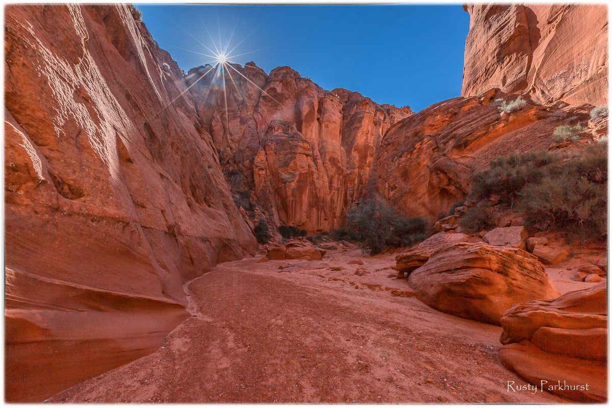Canyon X Sunburst