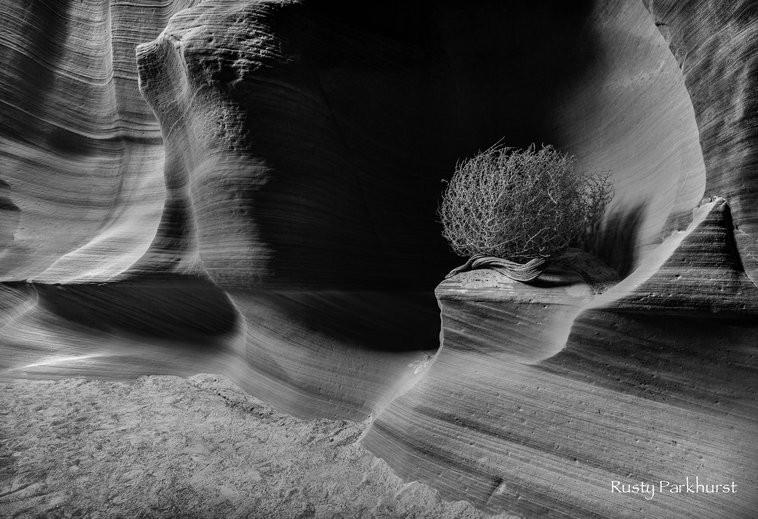 Canyon X