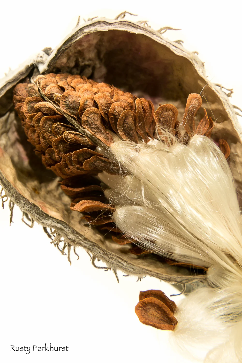 Seeds of Change