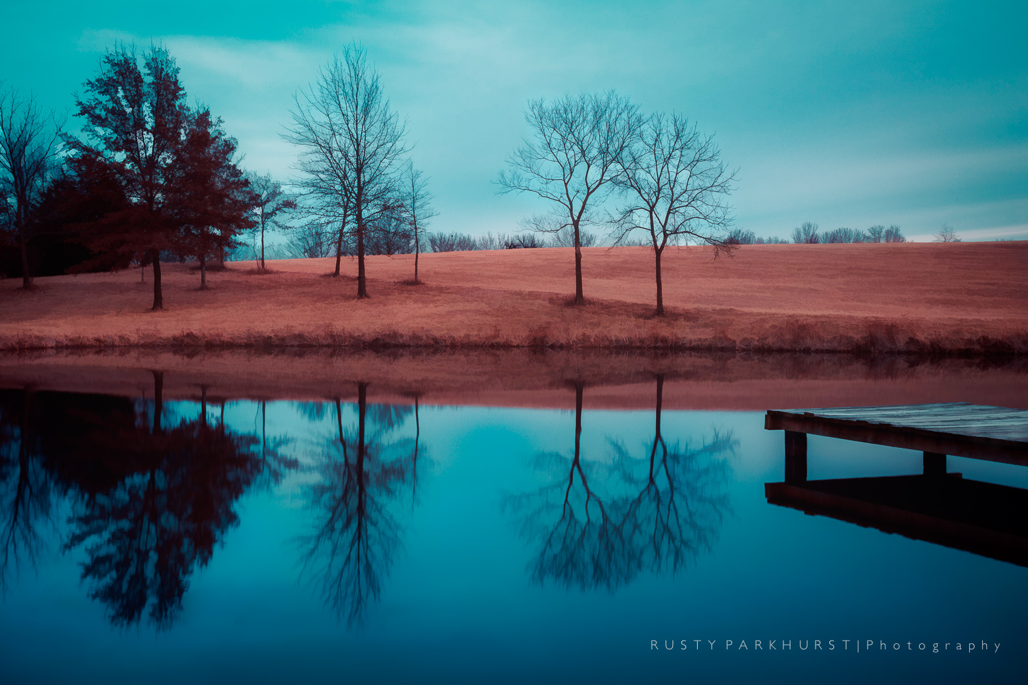 Pond Reflections