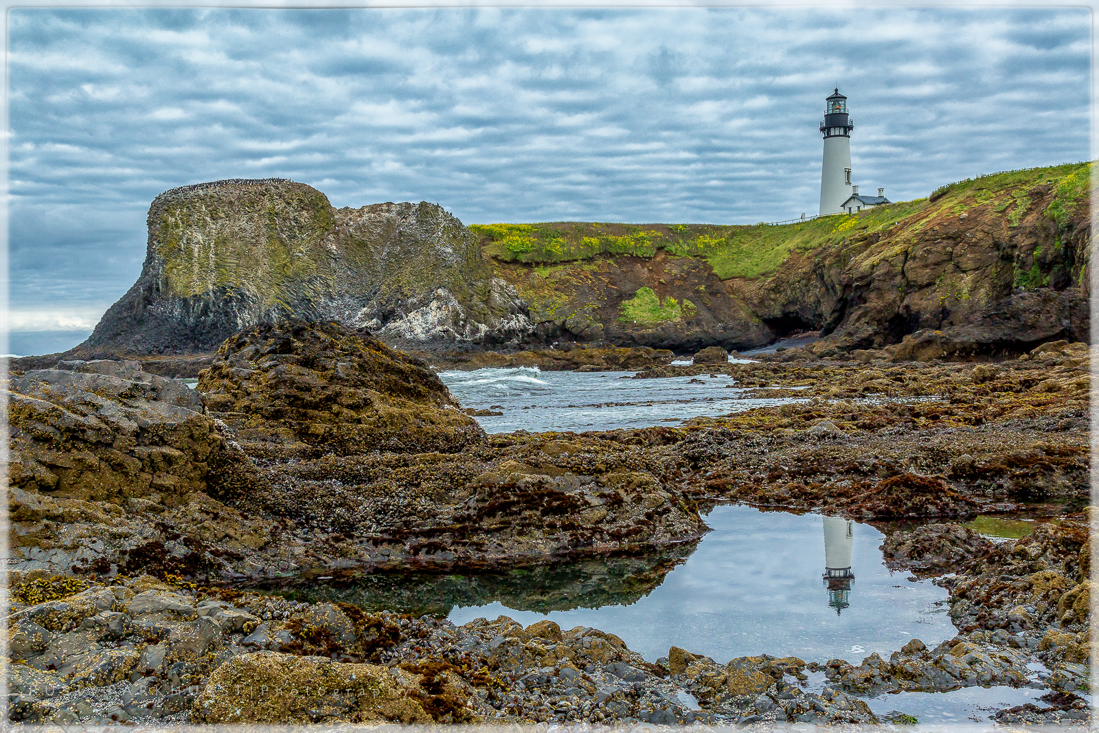 Yaquina Head Reflections