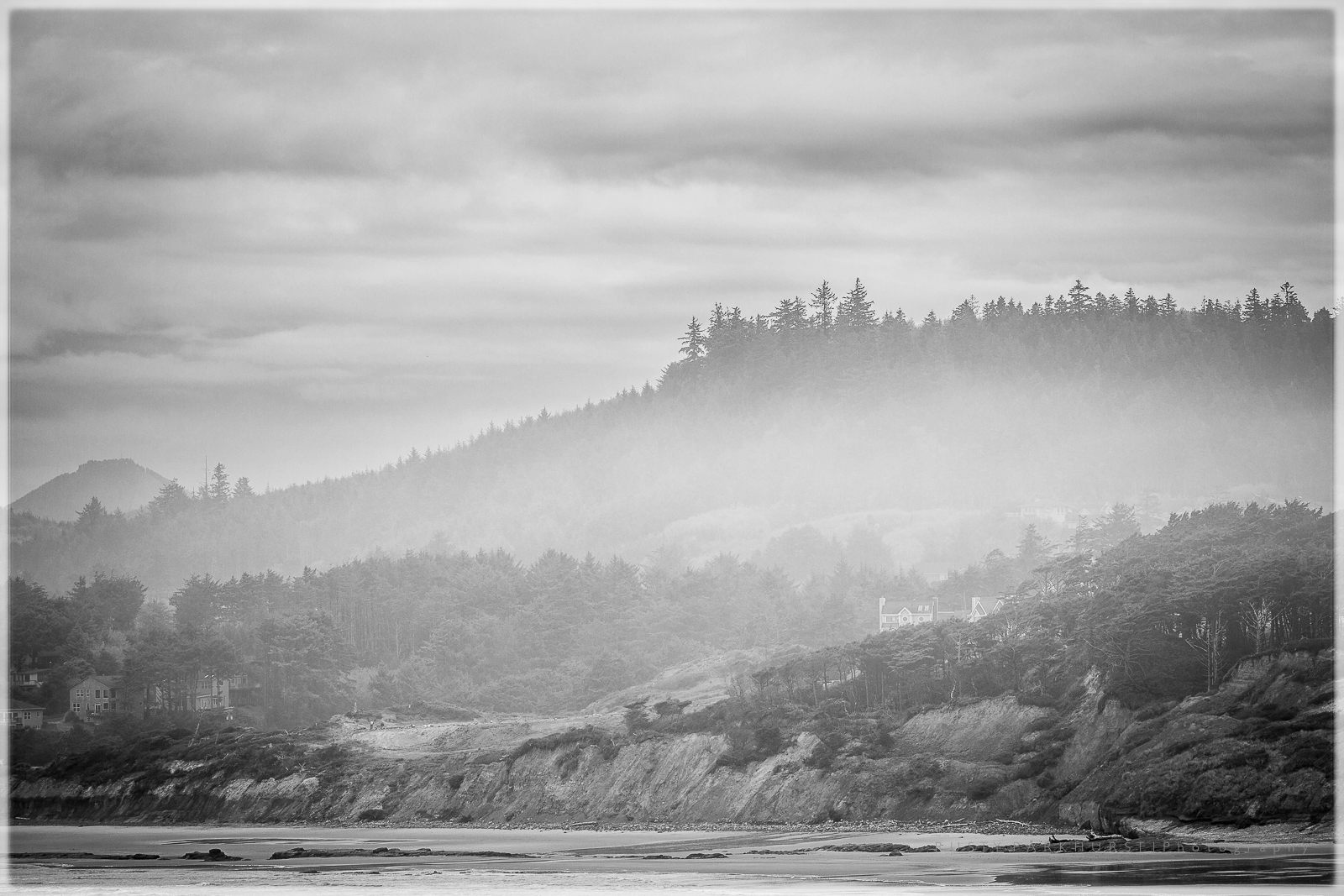 Foggy Coast