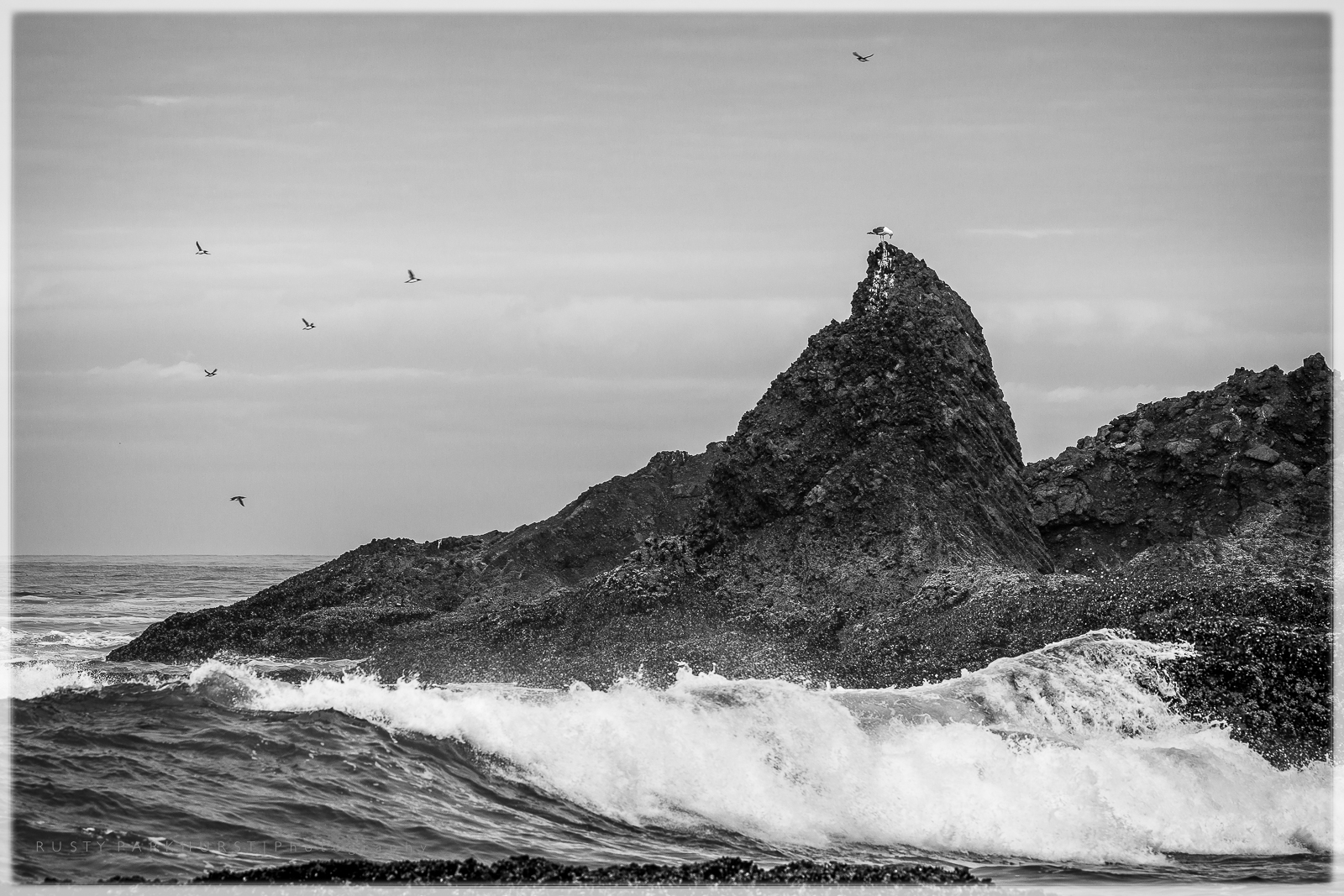 Birds & Basalt