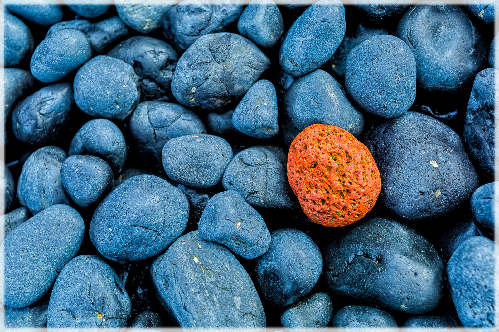 Pebble Beach