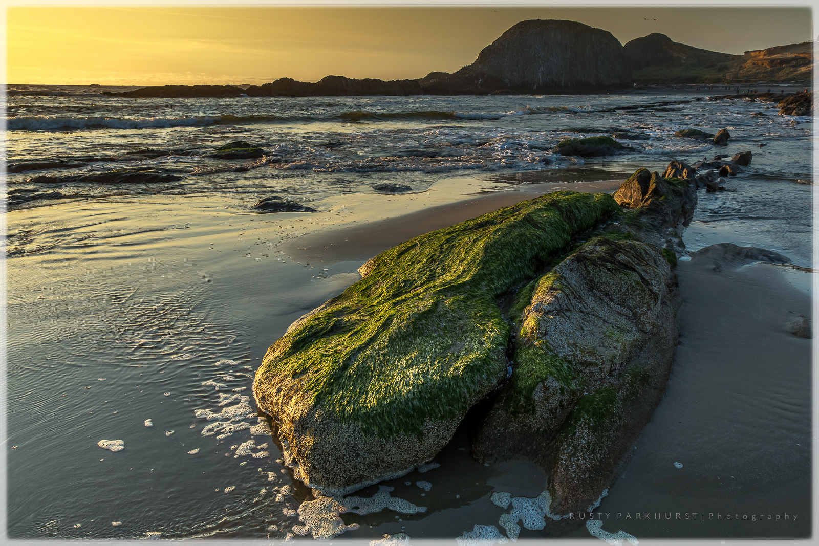 Whale Rock