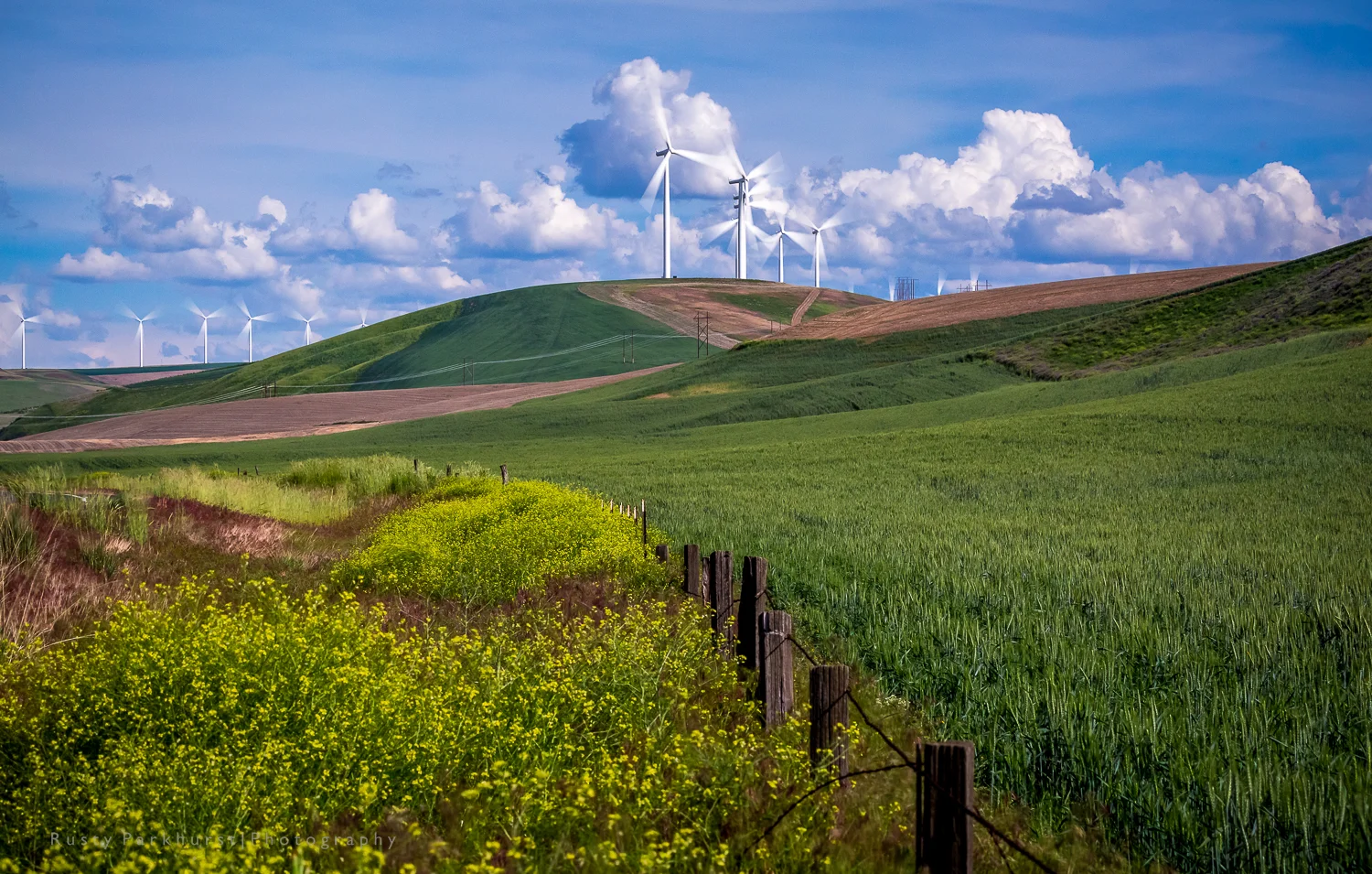 Power in the Hills.jpg