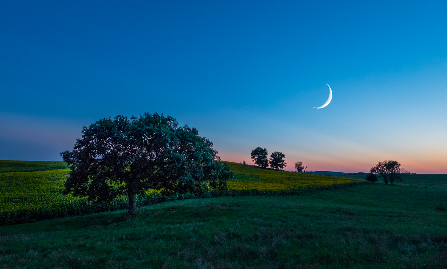 This image was taken well after sunset. Photoshop was used to create a composite of two images to exaggerate the size of the moon over the field.