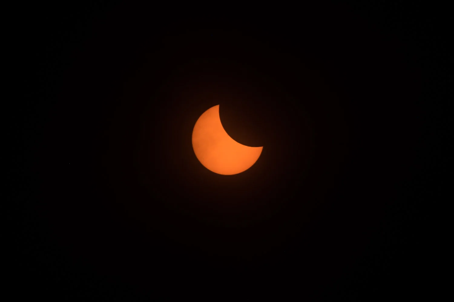 DSCF8546.jpg
