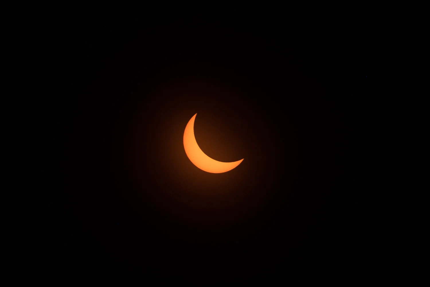 DSCF9048.jpg