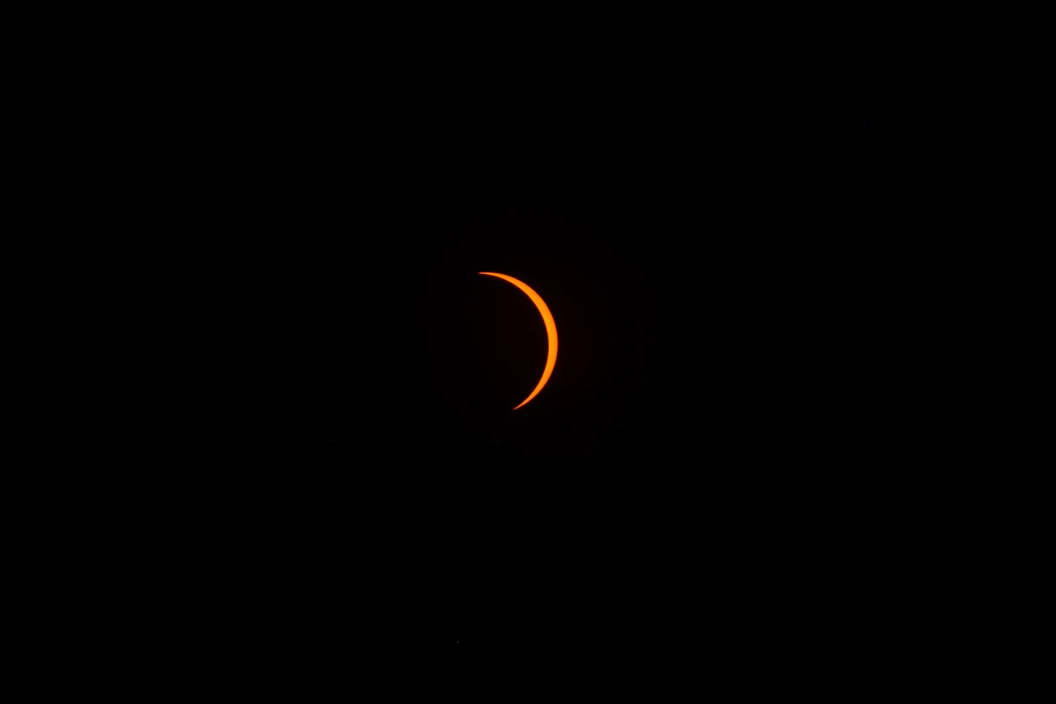 DSCF9482.jpg