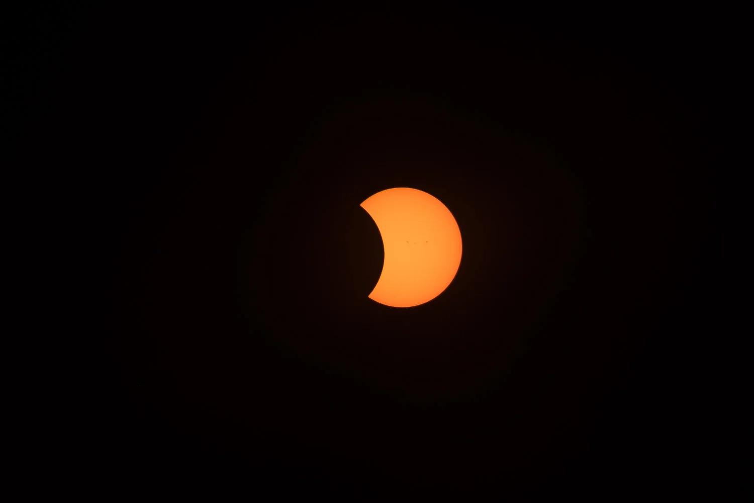 DSCF0367.jpg