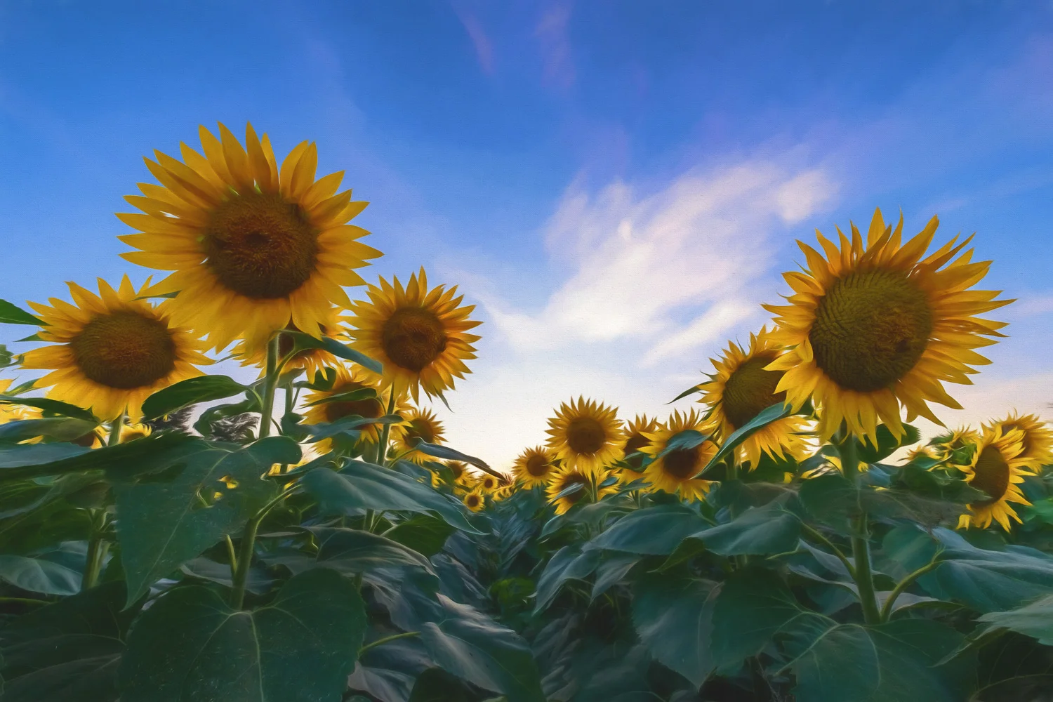 A change in perspective is a good way to capture an image that is a little 'different' than all the rest.