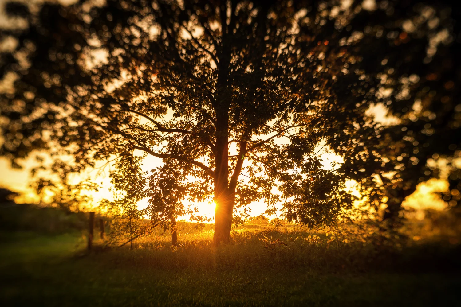 Country sunset; Sweet optic on the Trio 28.