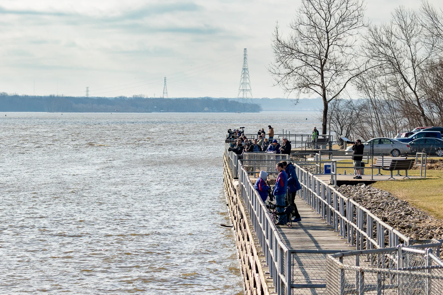 Taken last year, this image shows the boardwalk right along the river. Most people were standing along the river bank or on the boat ramp downstream from here this year. 