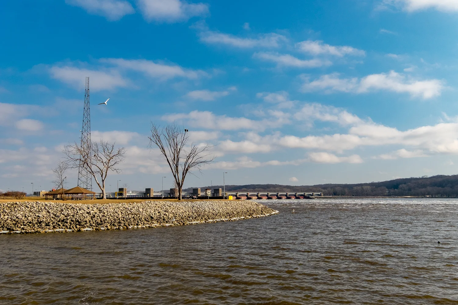 This image, also taken last year, shows the two trees that were lost in the storm last February.