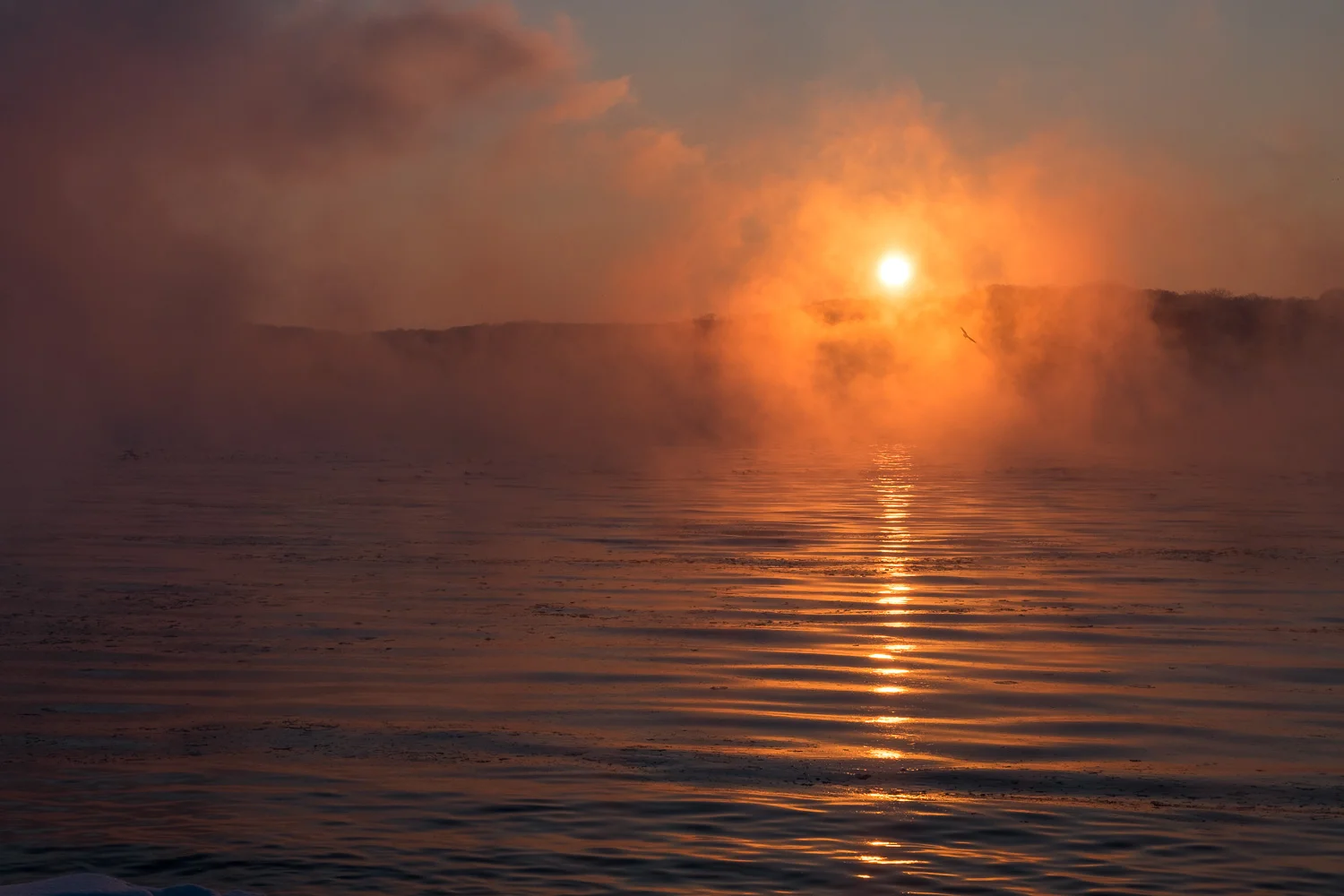 DSCF3679.jpg