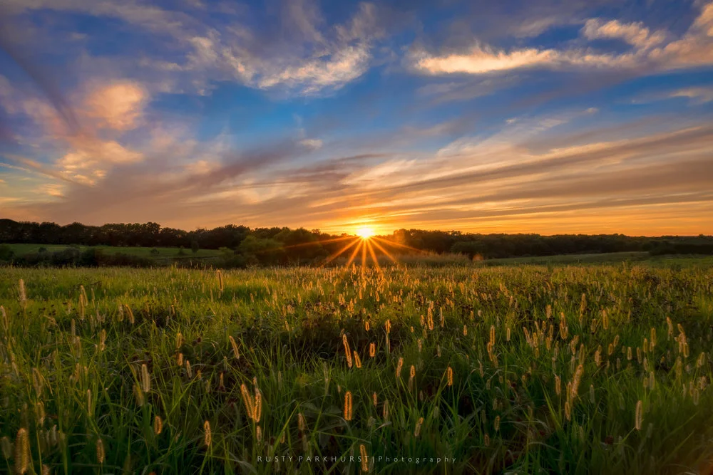 Top 10 of 2016 (#10)