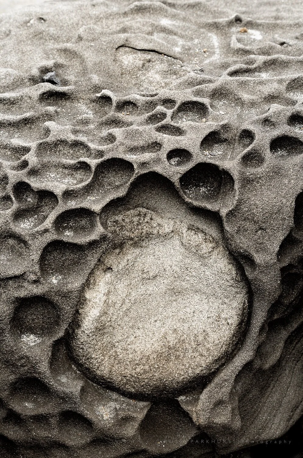 Minor White's Wall