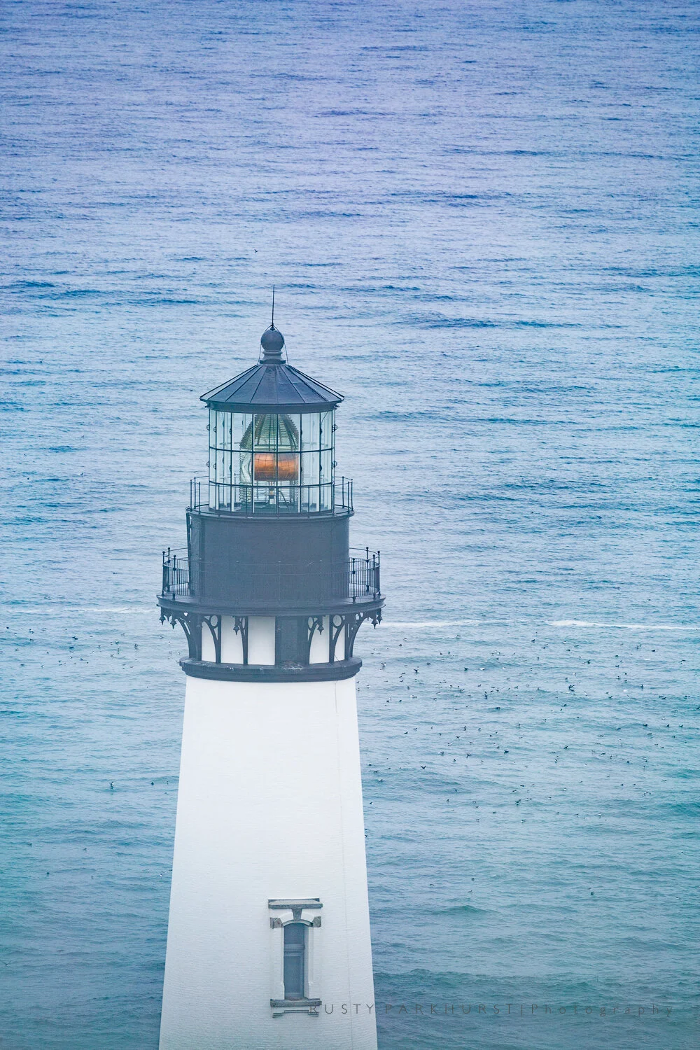 Yaquina Head Revisited