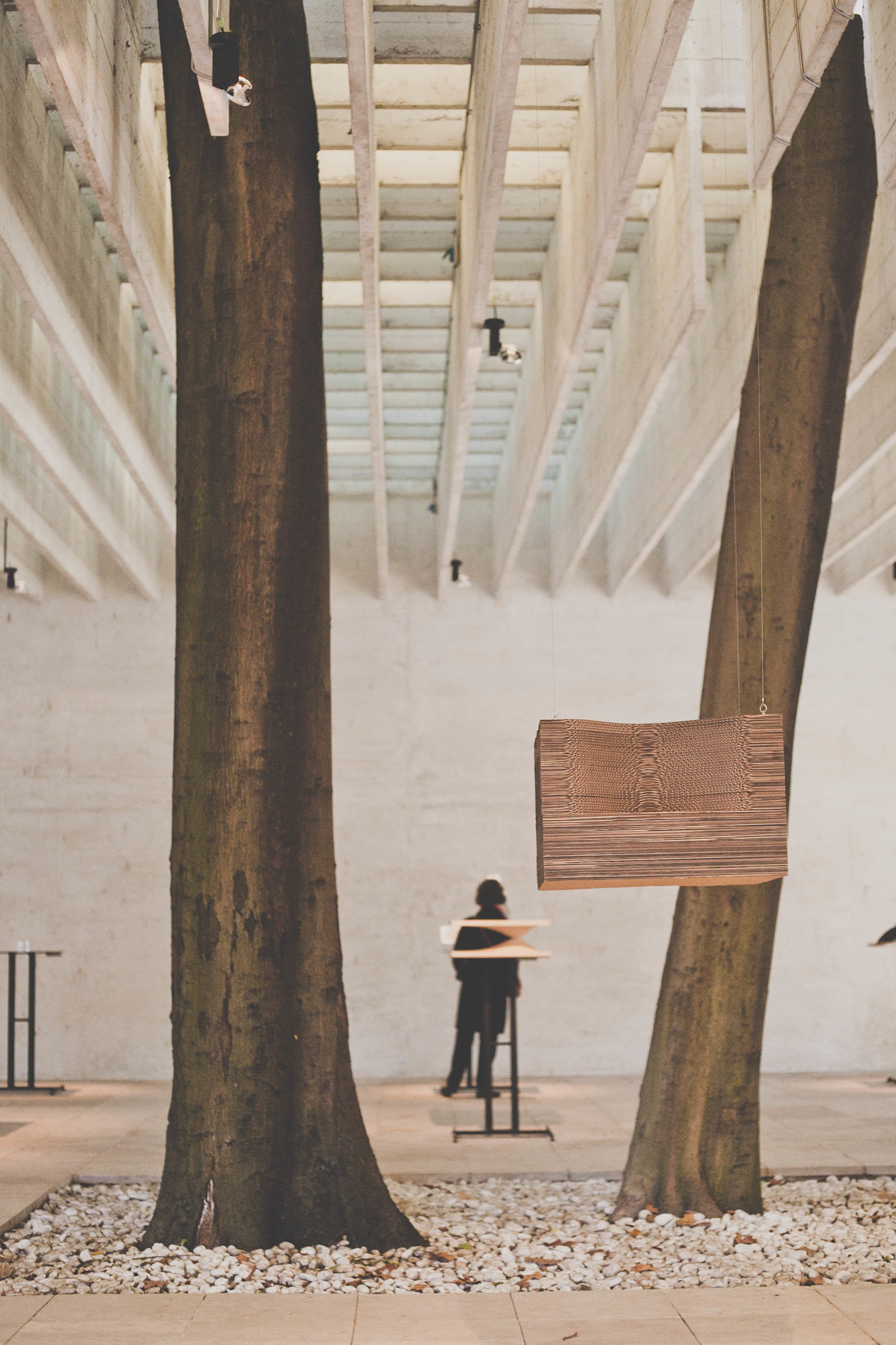 Venice Architecture Biennale