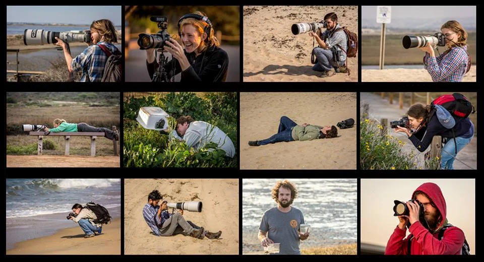 The crew in action Photos: Mark Larson Composite: Matt Cicanese