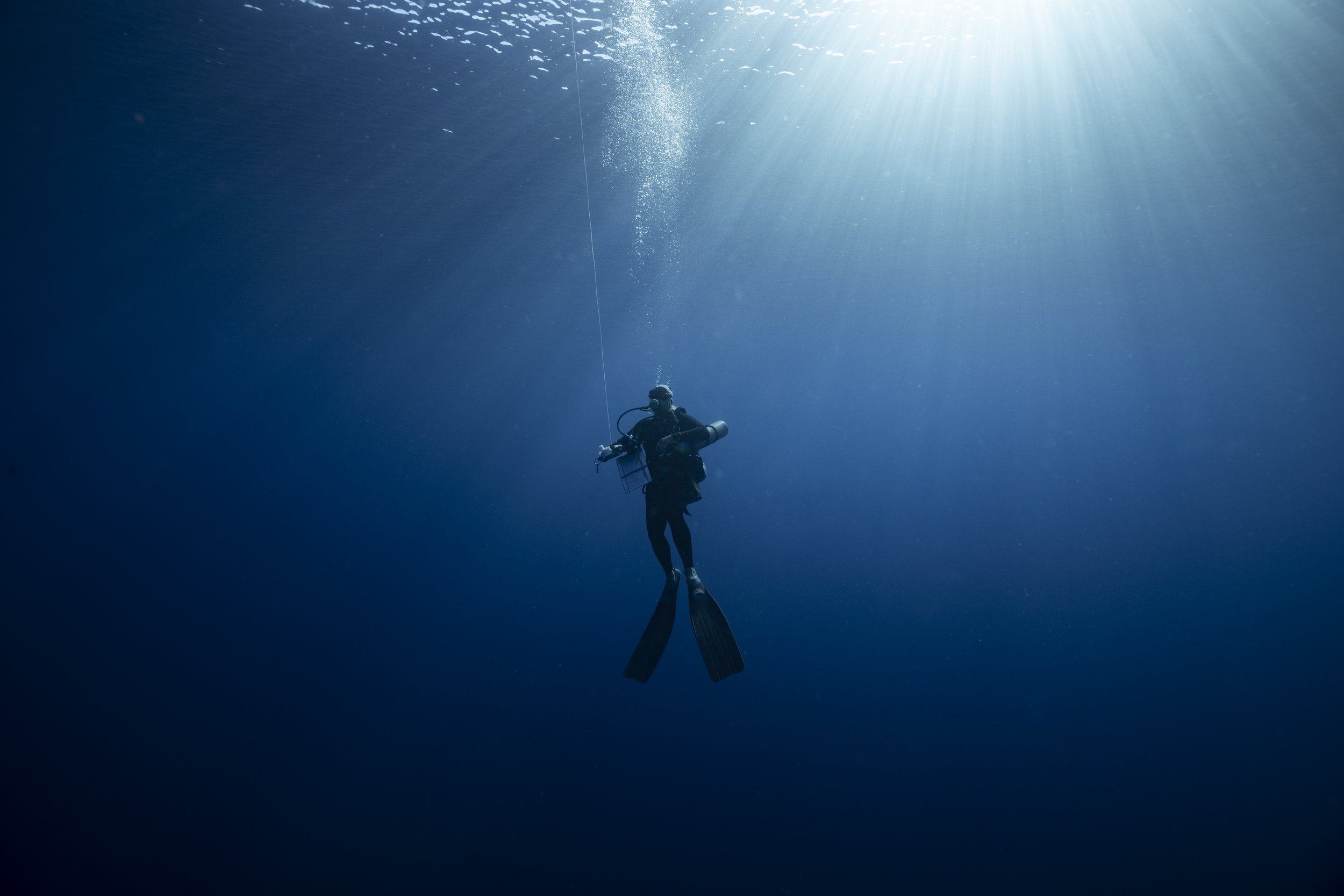  Due to the depth of the dives, to avoid decompression related illnesses, divers ascend slowly sometimes taking nearly 30 minutes to reach the surface. 