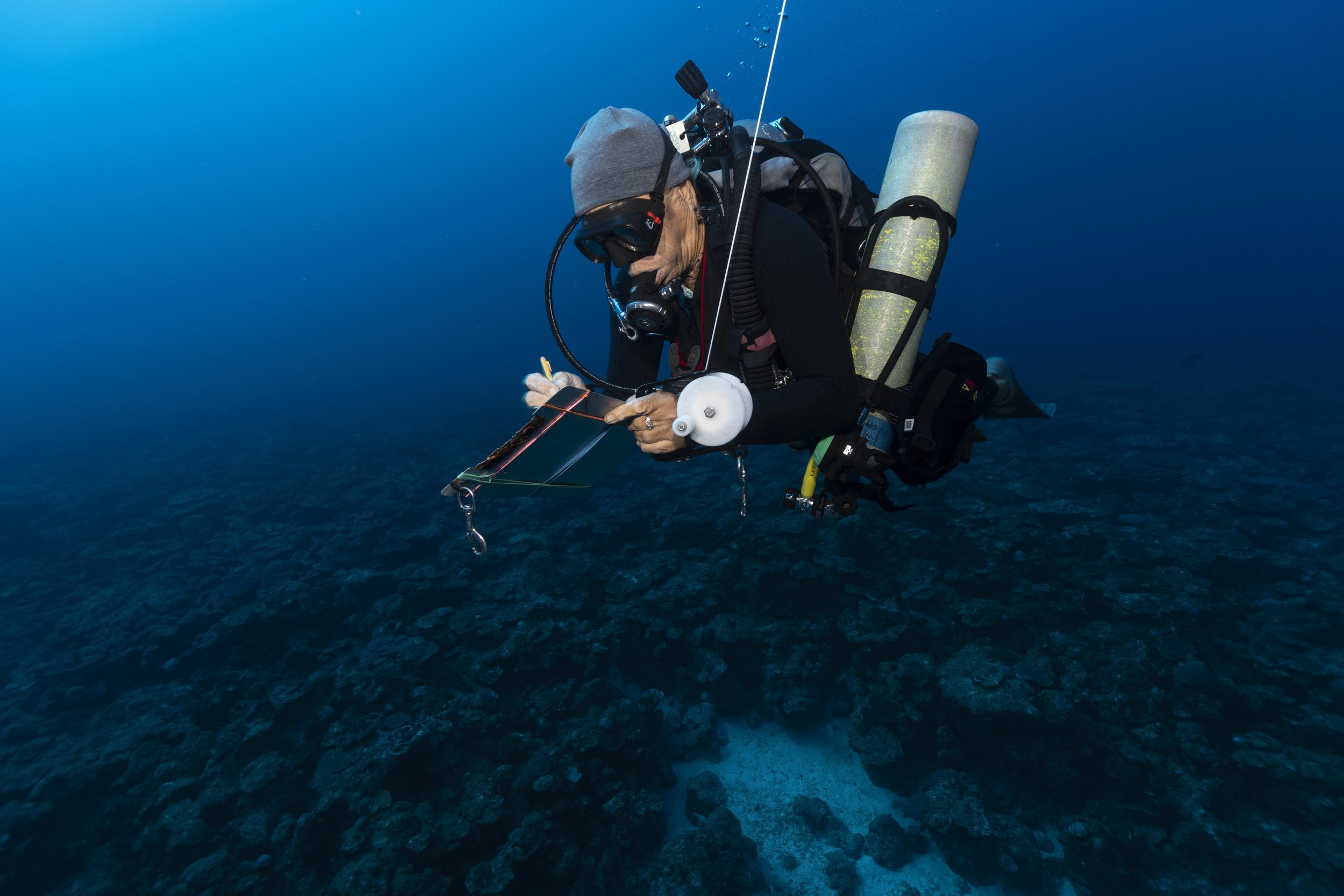  University of the Virgin Islands technical diver Shaun Kadison records the species of fish in each trap. 