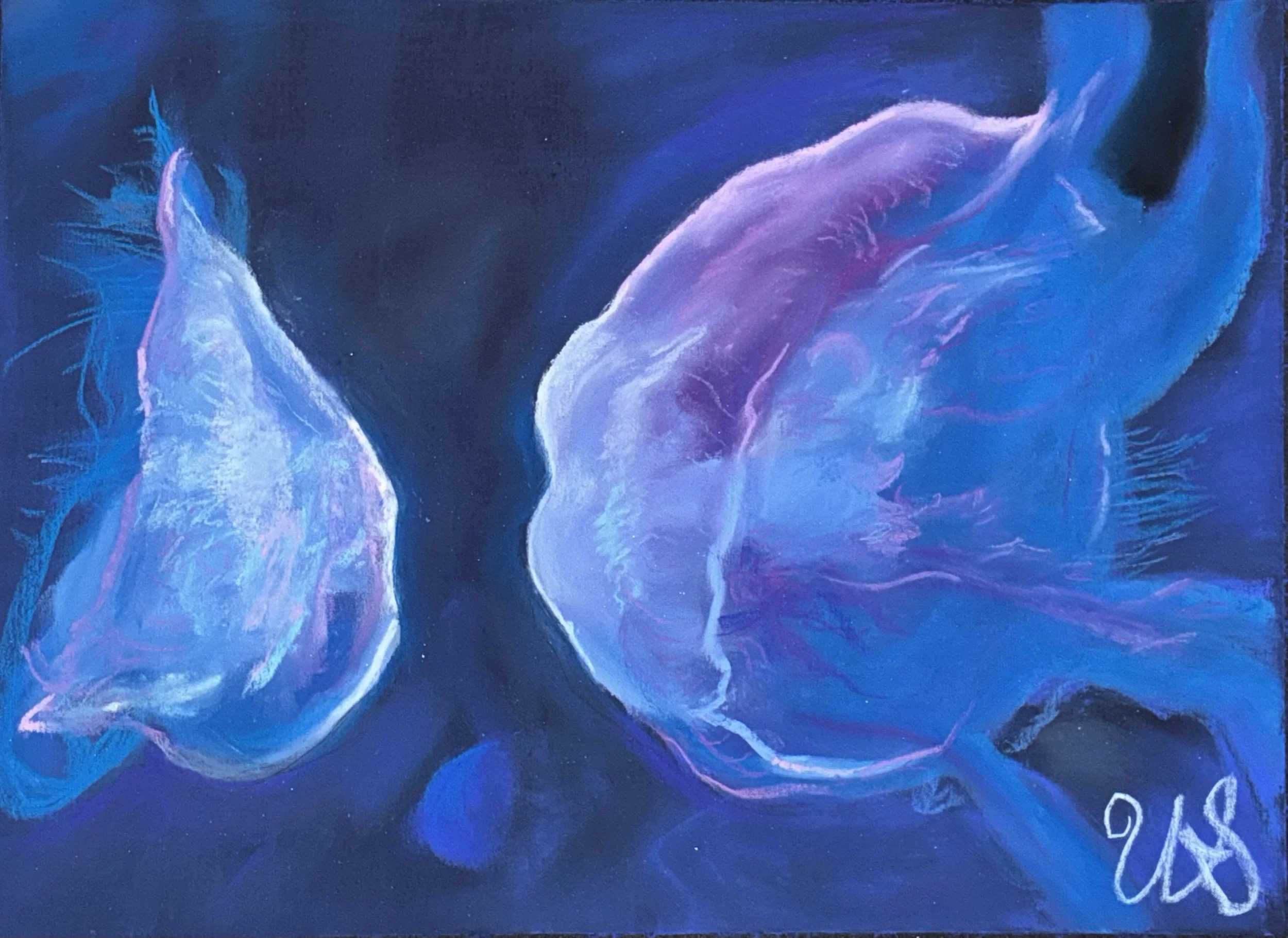 Moon Jellies I