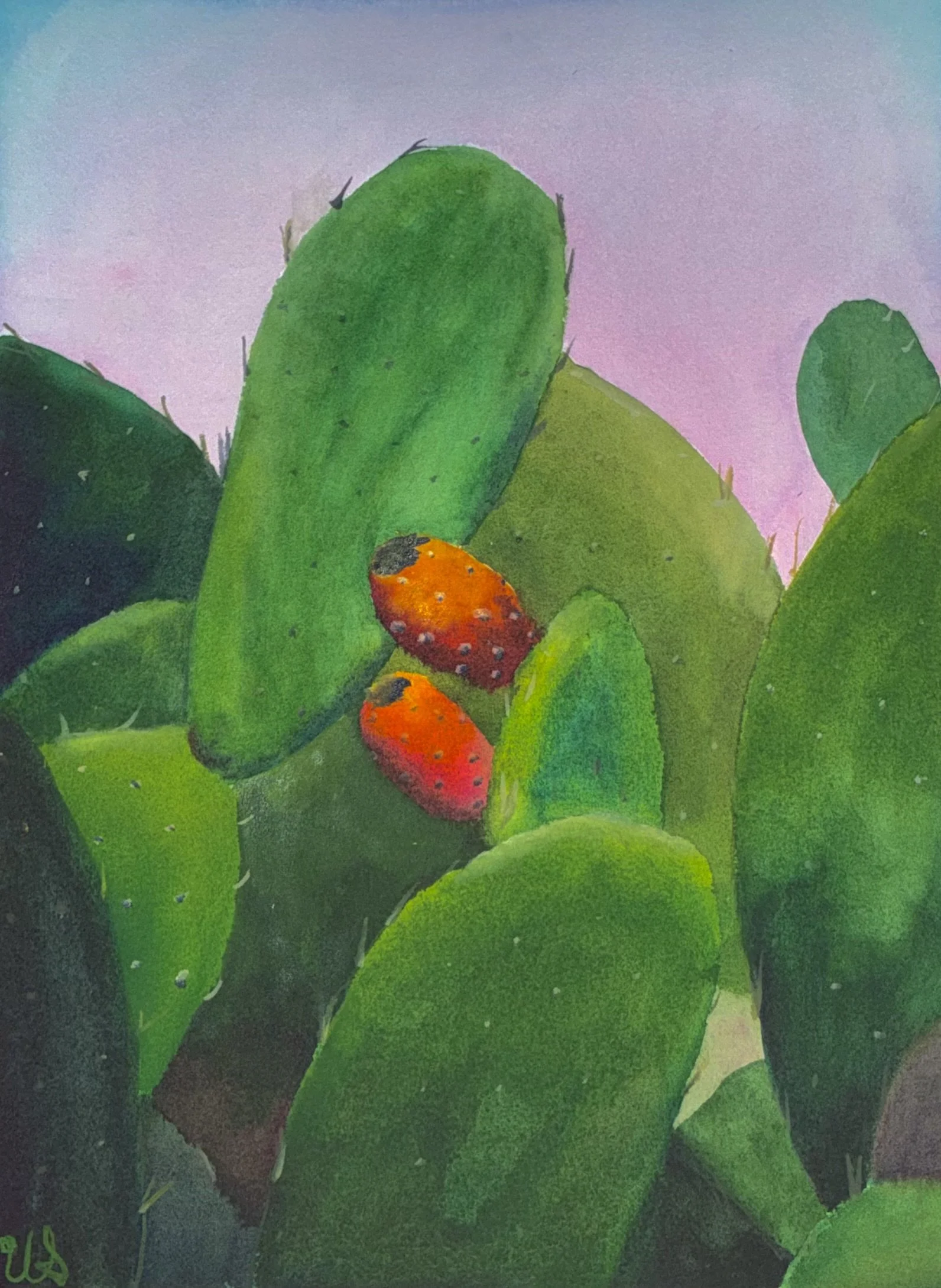 Prickly Pear at Dusk