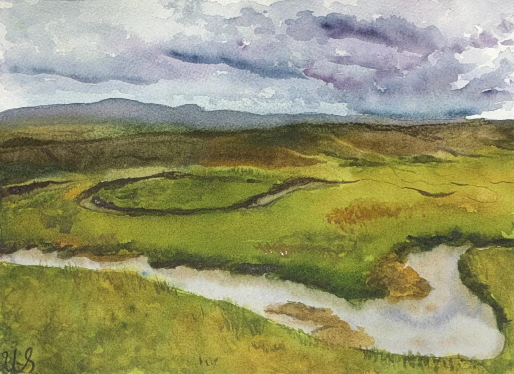Hayden Valley