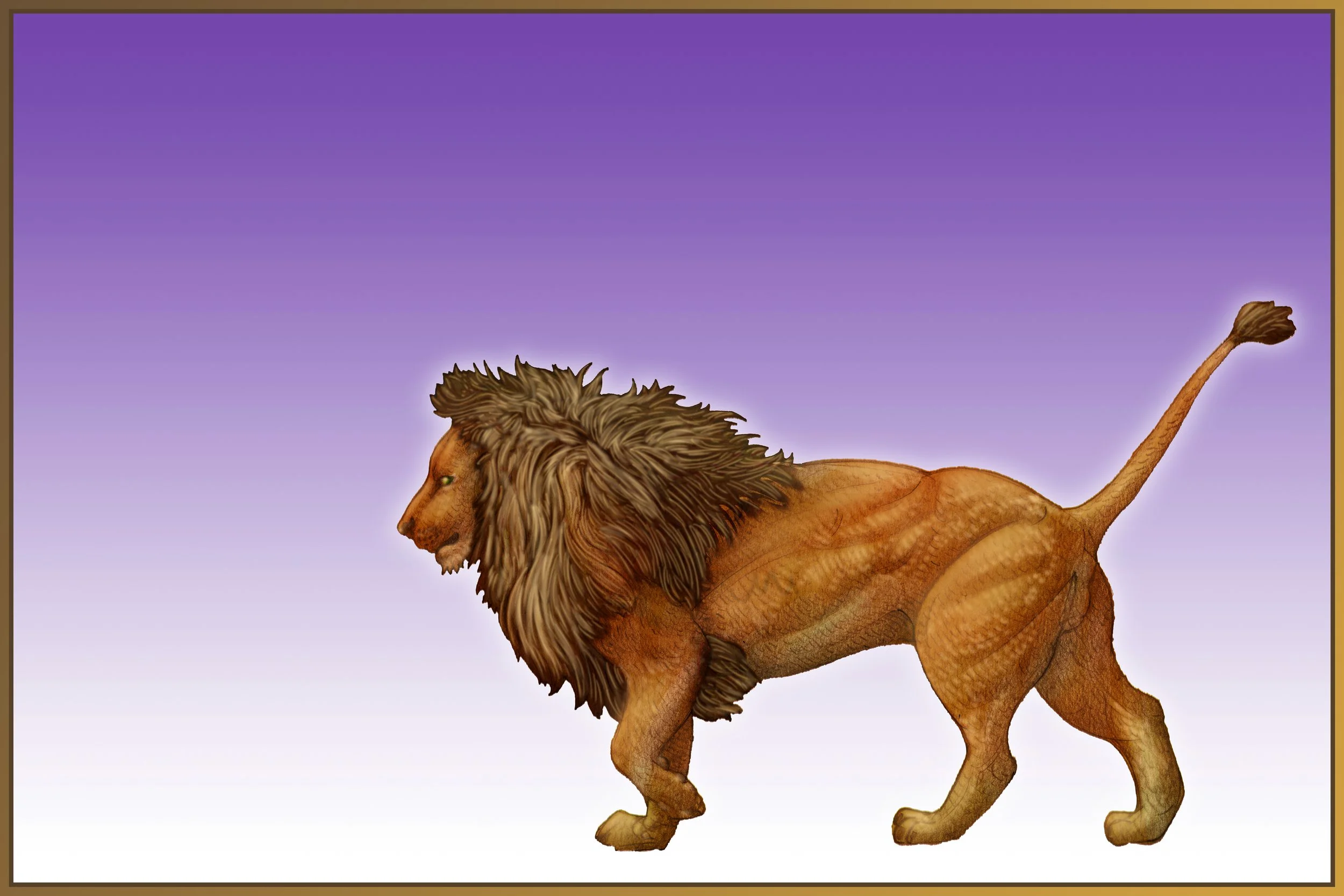 CT14_02 small.jpg