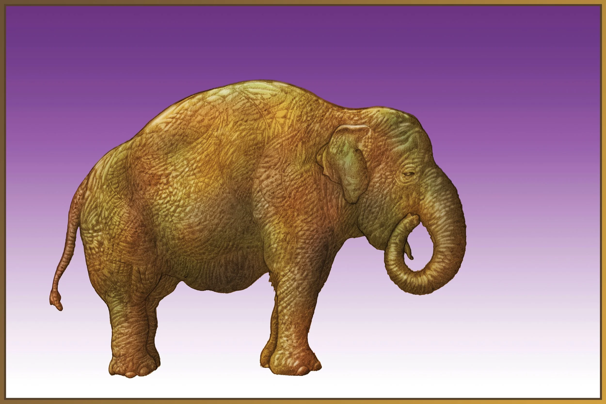 CT14_04 small.jpg